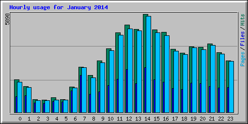 Hourly usage for January 2014