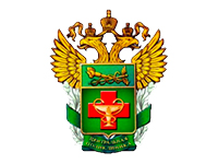 Информация о работе поликлиники в период  с 01.11.2025  по 04.11.2025